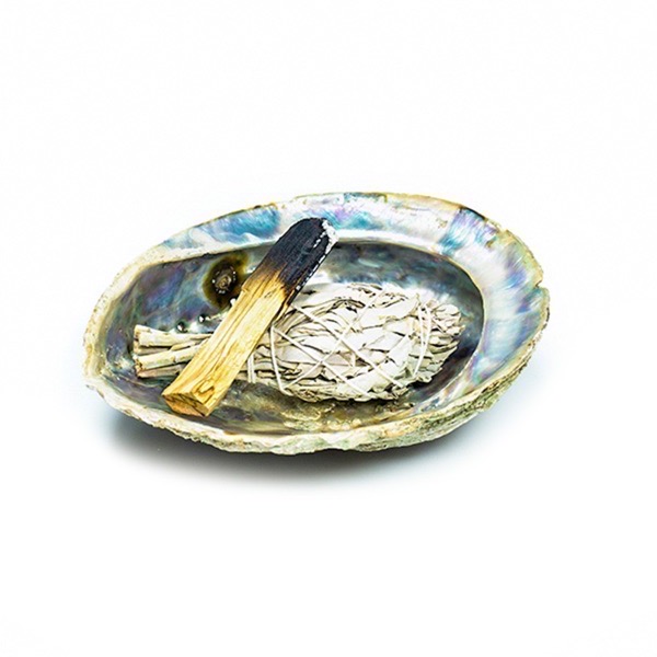 Abalone Shell - Smudge Bowl